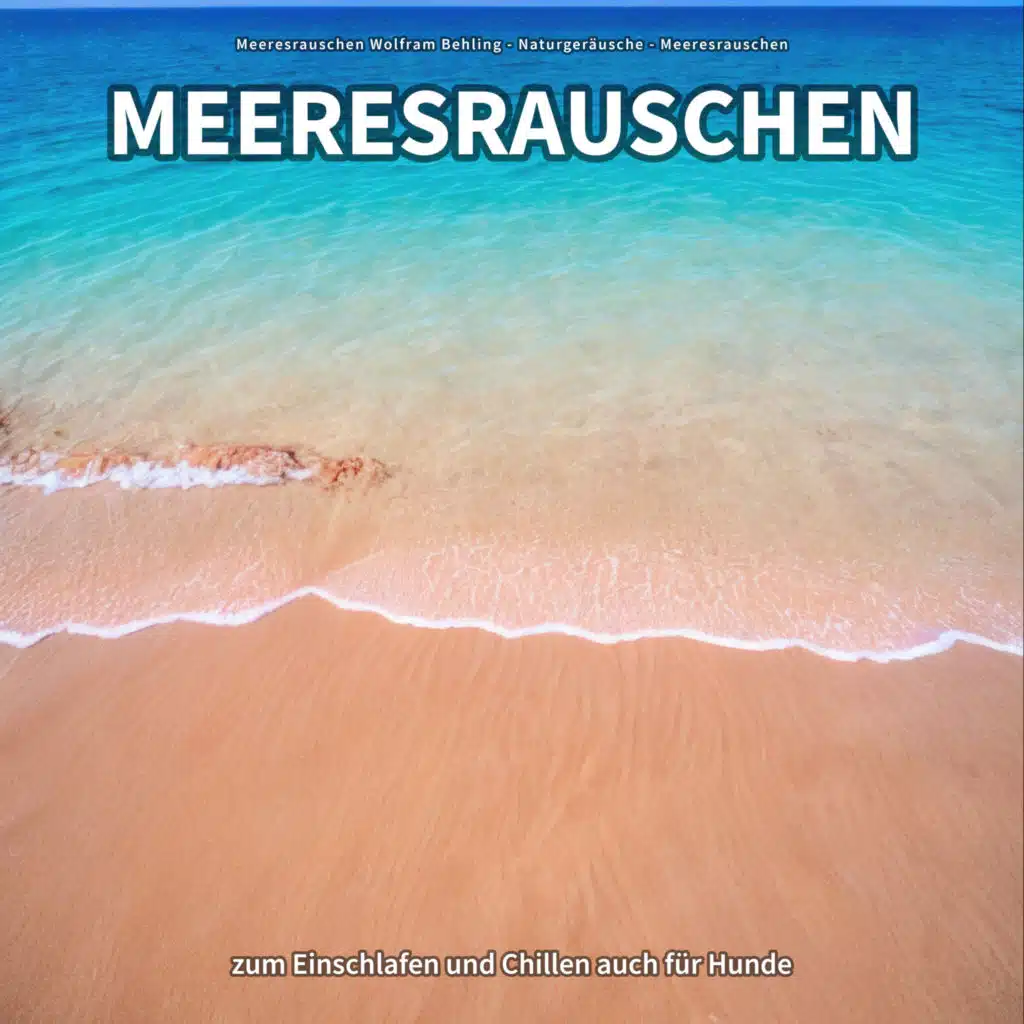Meeresrauschen zum Einschlafen und Chillen auch für Hunde