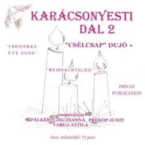 Ave Maria, Op. 52 No. 6, D. 839 (feat. Attila Varga)
