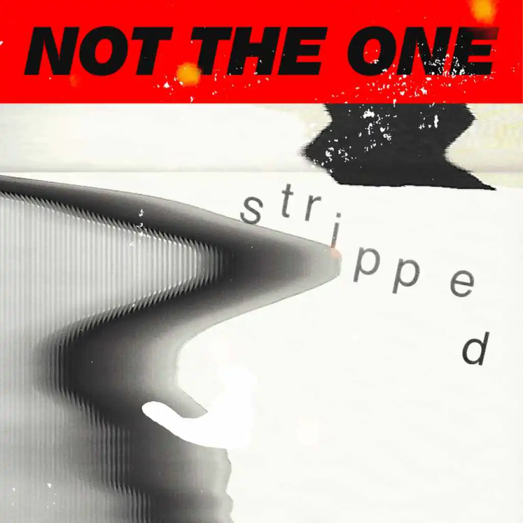 Not The One (Stripped)