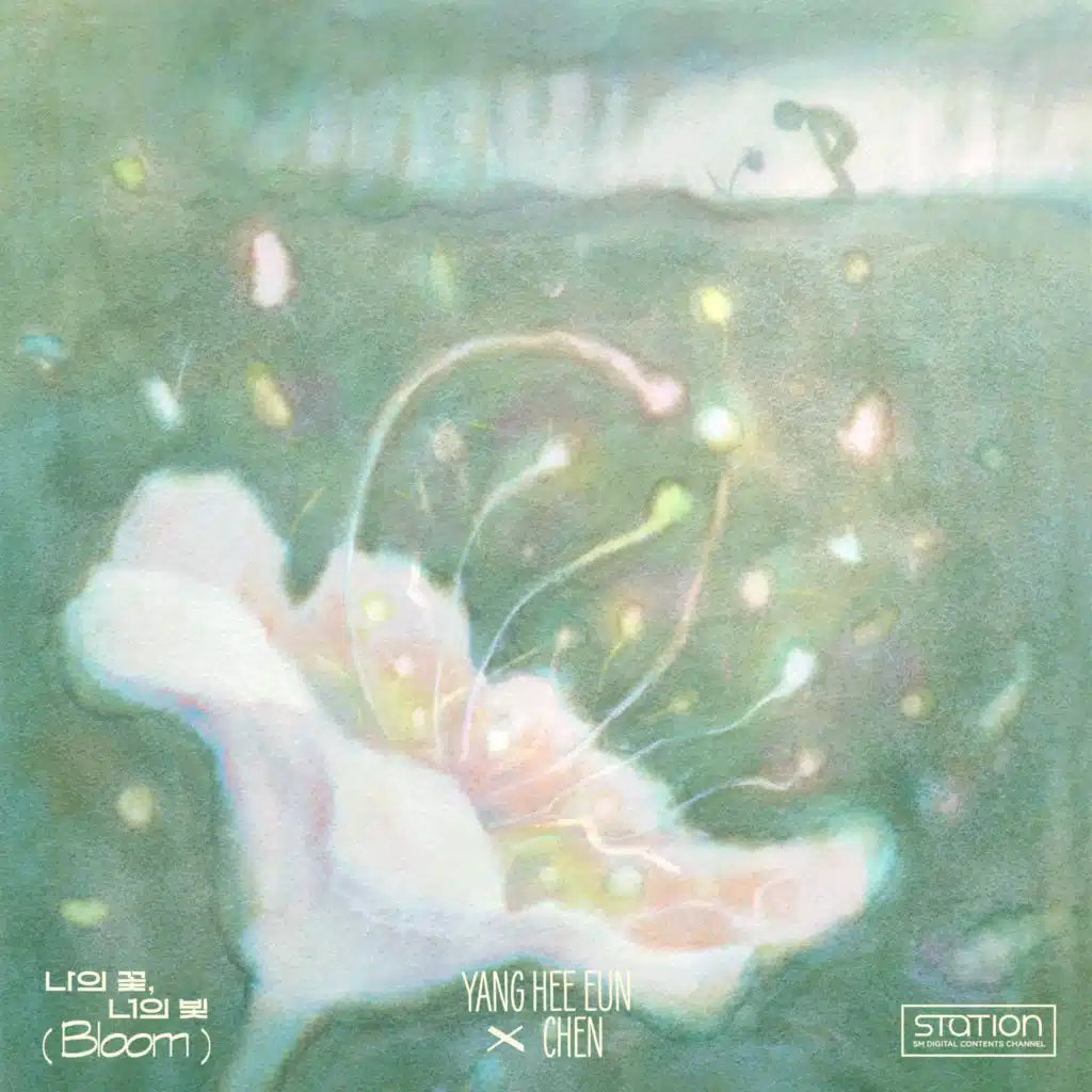 나의 꽃, 너의 빛 Bloom