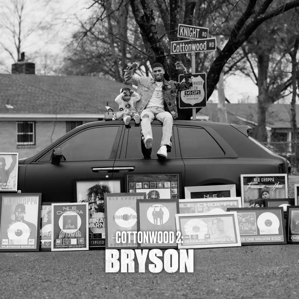 Cottonwood 2: BRYSON