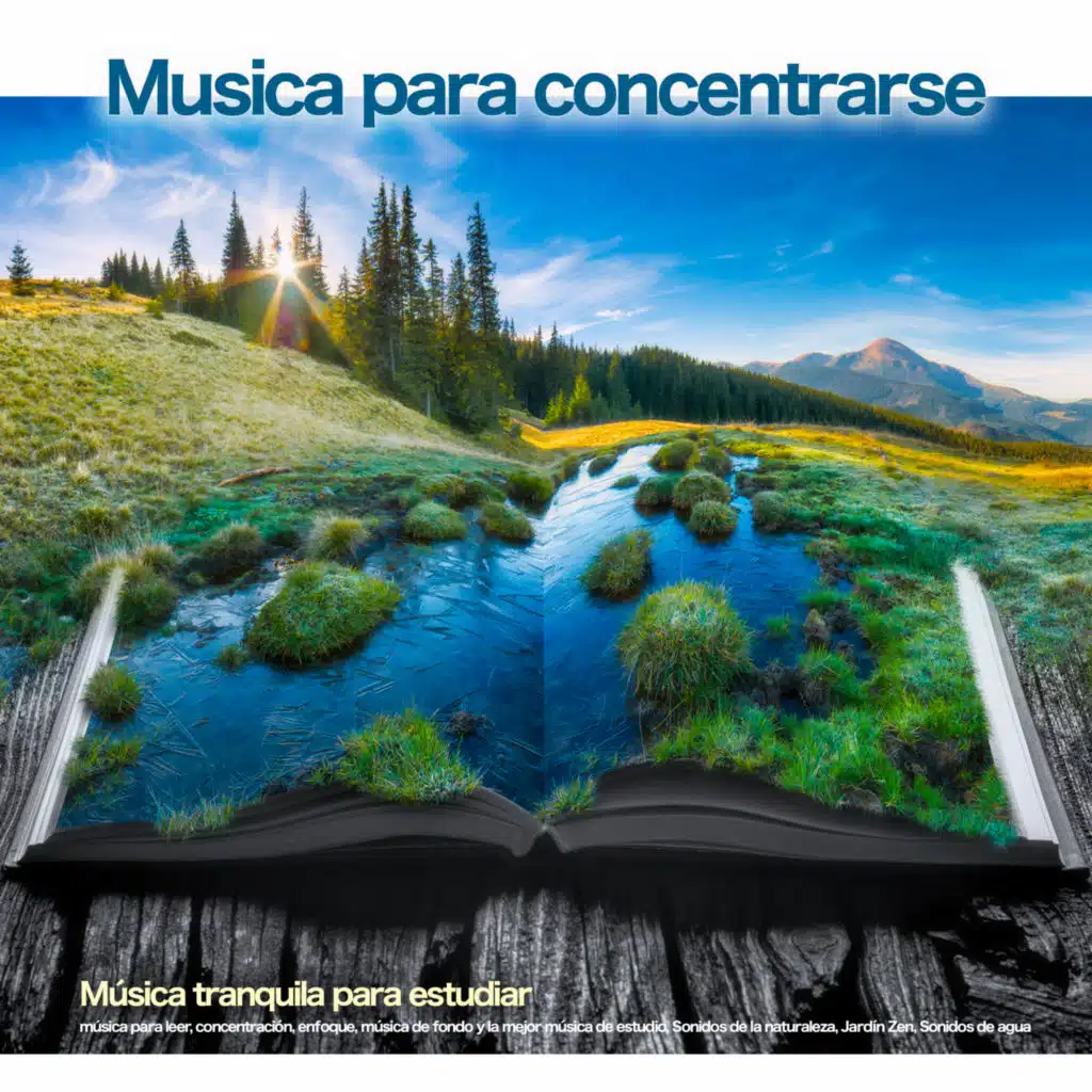 Sonidos de lluvia - Estudiar musica