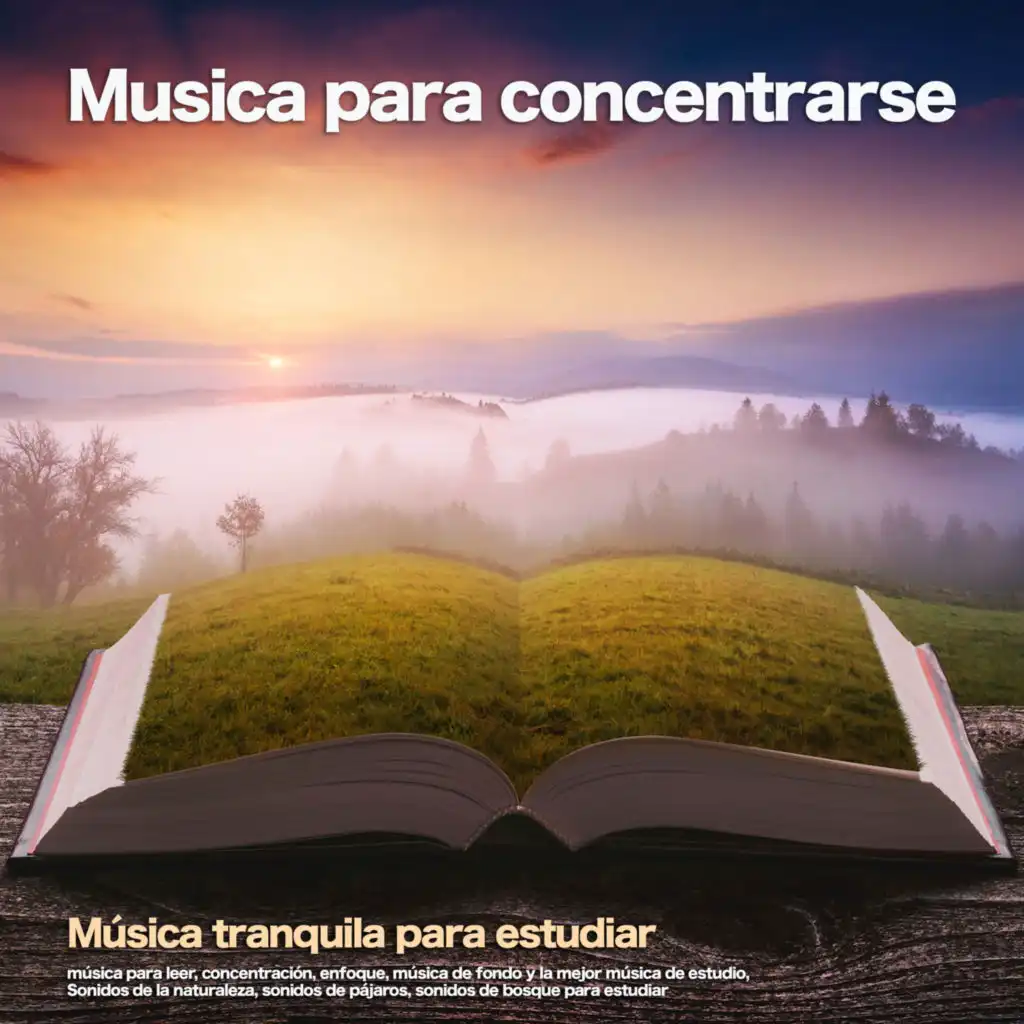 Sonidos de la naturaleza - Estudiar musica