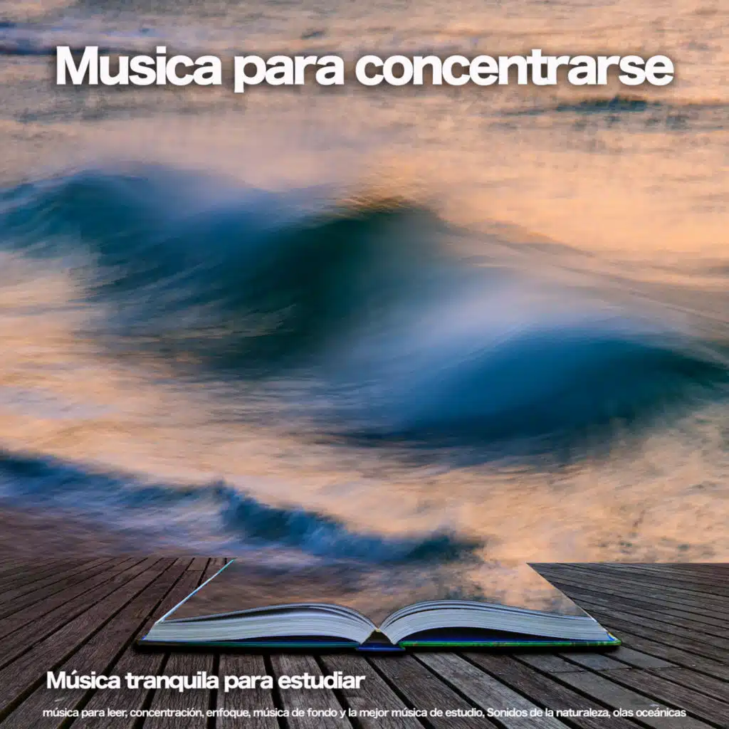 Musica para estudiar - Música tranquila
