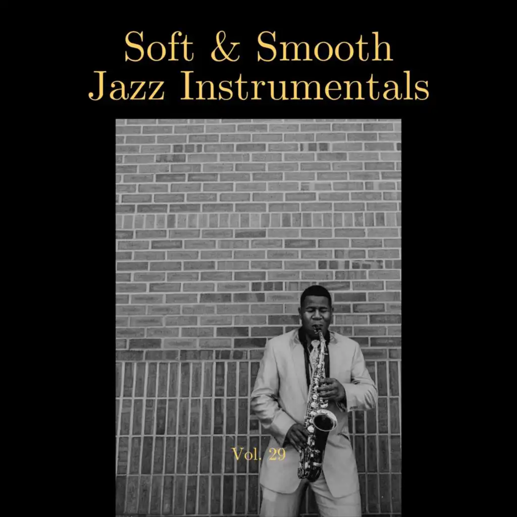 Soft & Smooth Jazz Instrumentals, Vol. 29