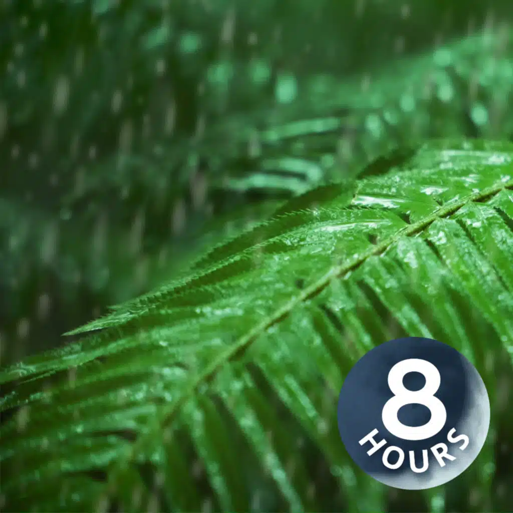 Relax, Sleep or Focus with Rain Noise 8 Hours