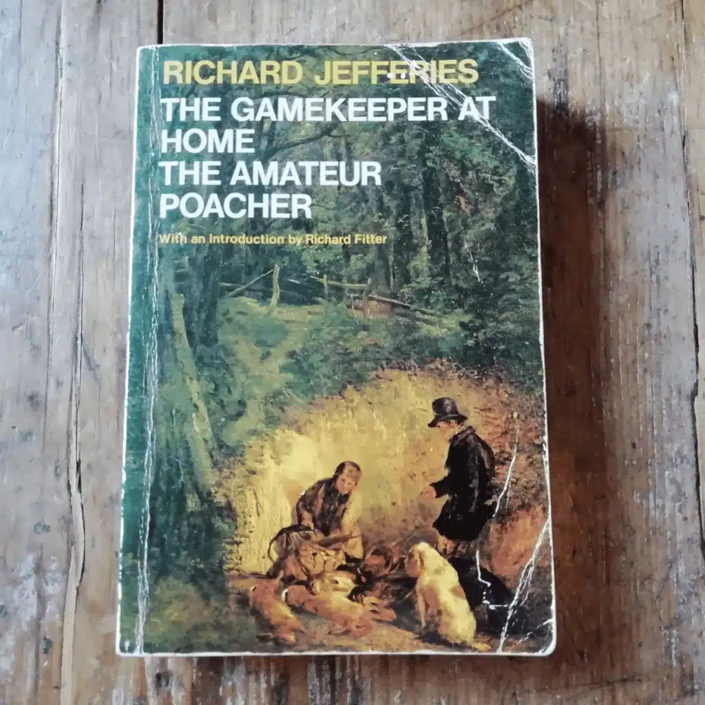 52. Explore the wild ways of Wessex and meet a gentle rural rogue – in a classic book of the countryside