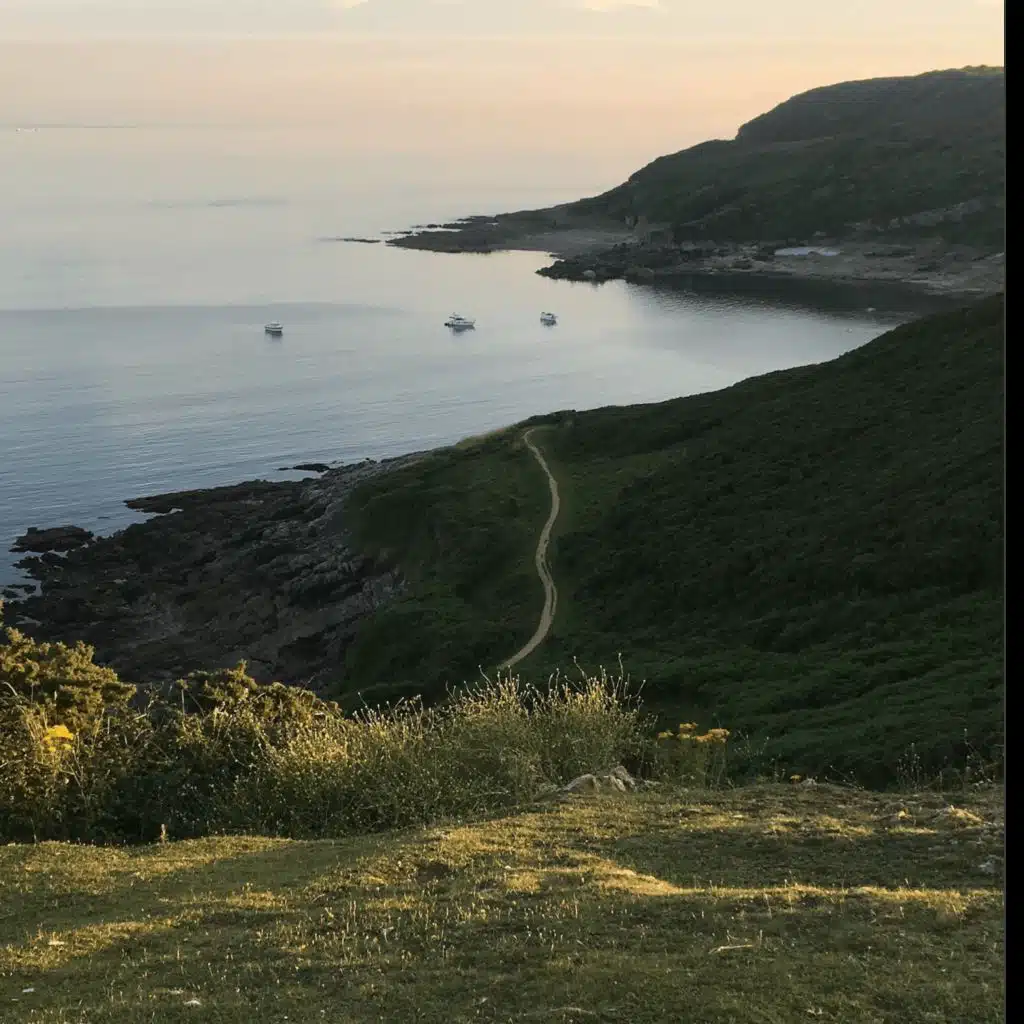 Sound Escape 29: relax on a Gower headland while gulls call above and a tractor gathers hay