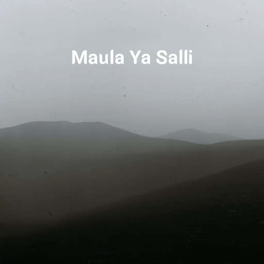 Maula Ya Salli (feat. Zack Knight)