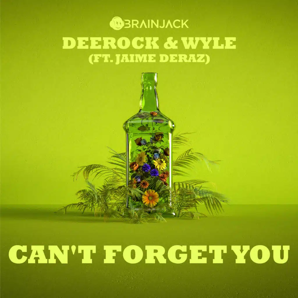 Can't Forget You (feat. Jaime Deraz)