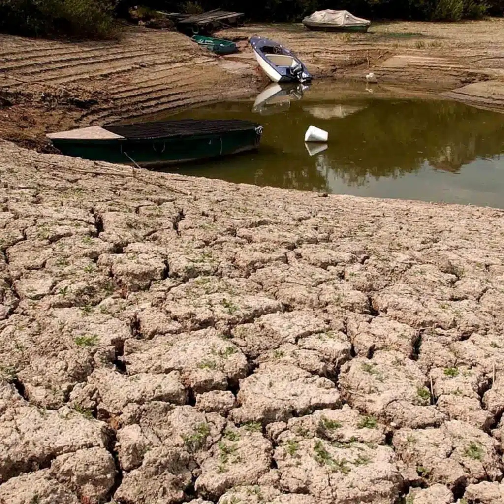 Grand débat - Climat: panique ou espoir?