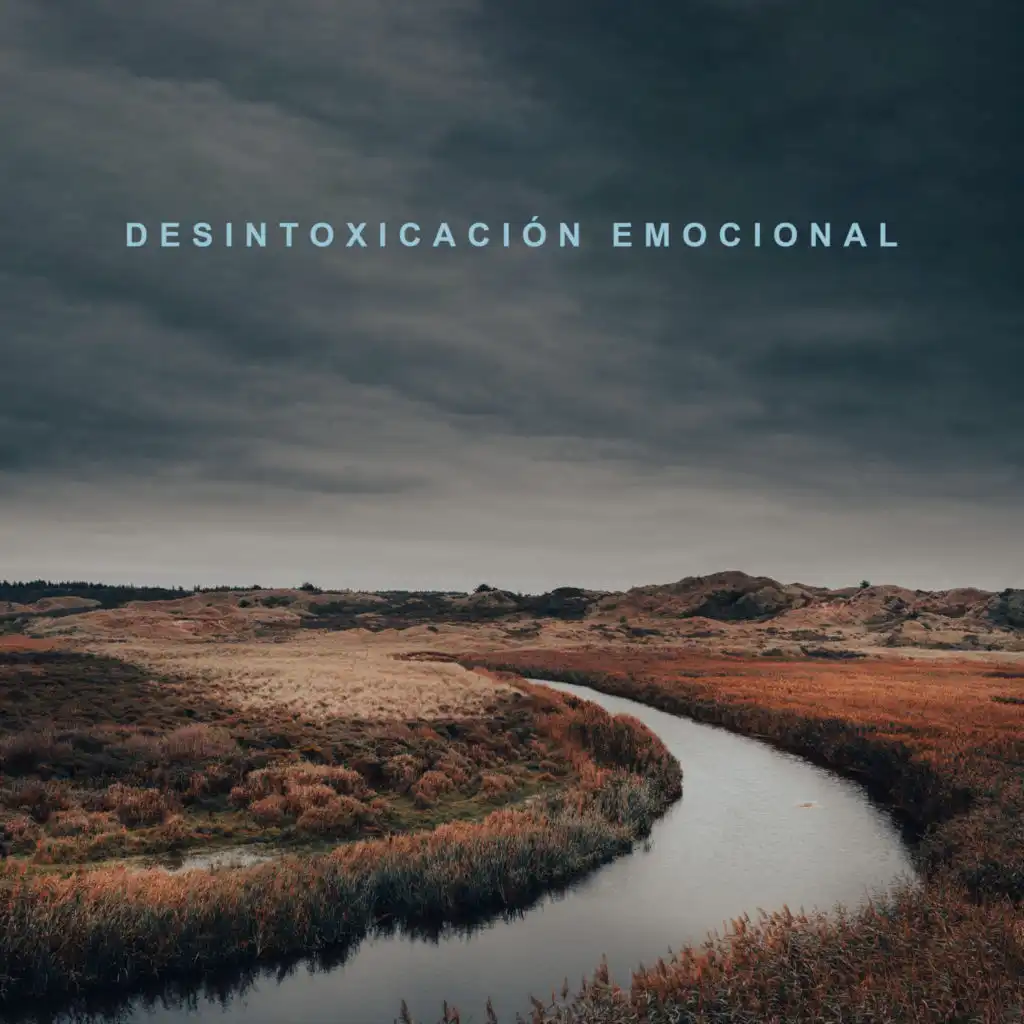 Desintoxicación Emocional: Lliberar la Negatividad, Calmarse, Superar el estrés