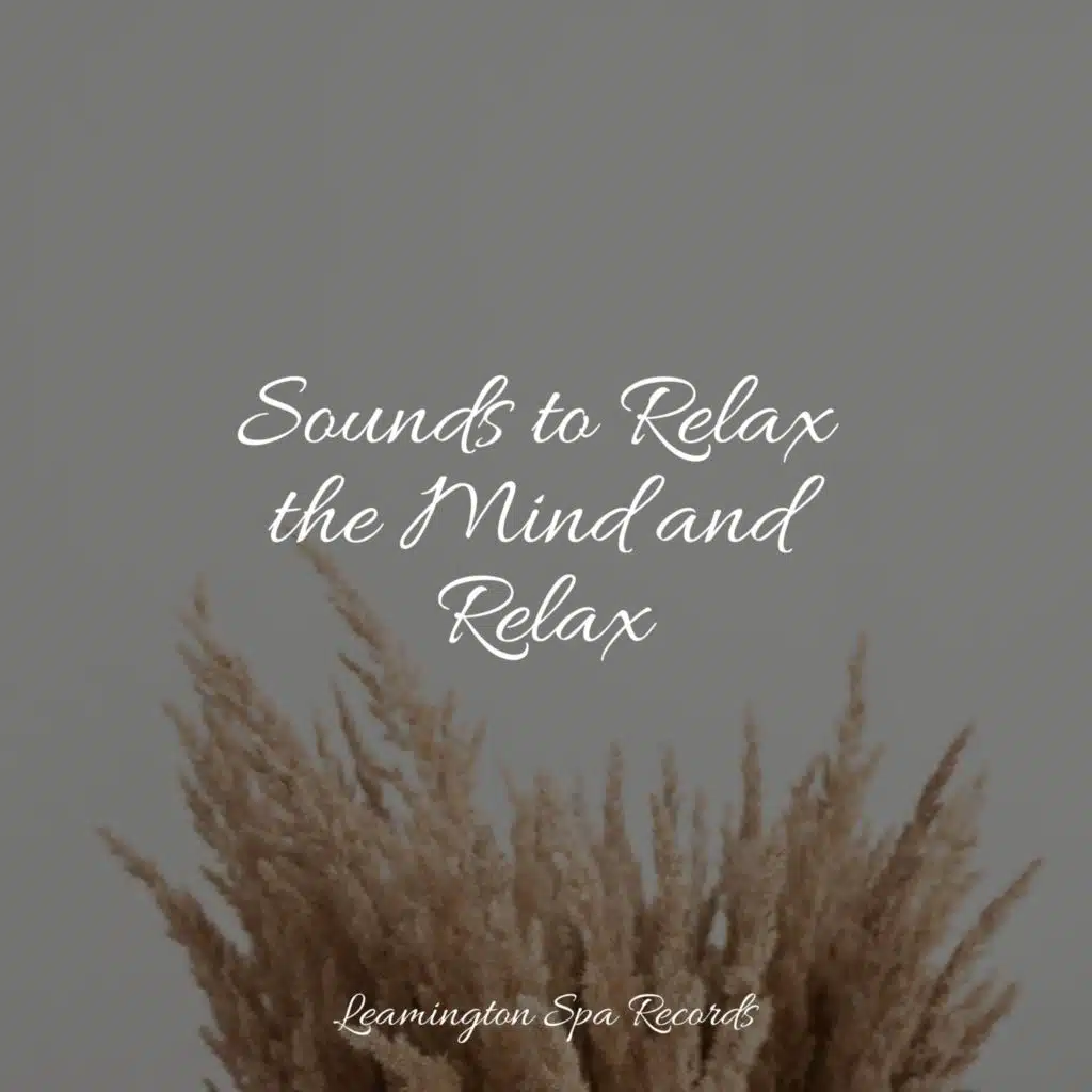 Sounds to Relax the Mind and Relax