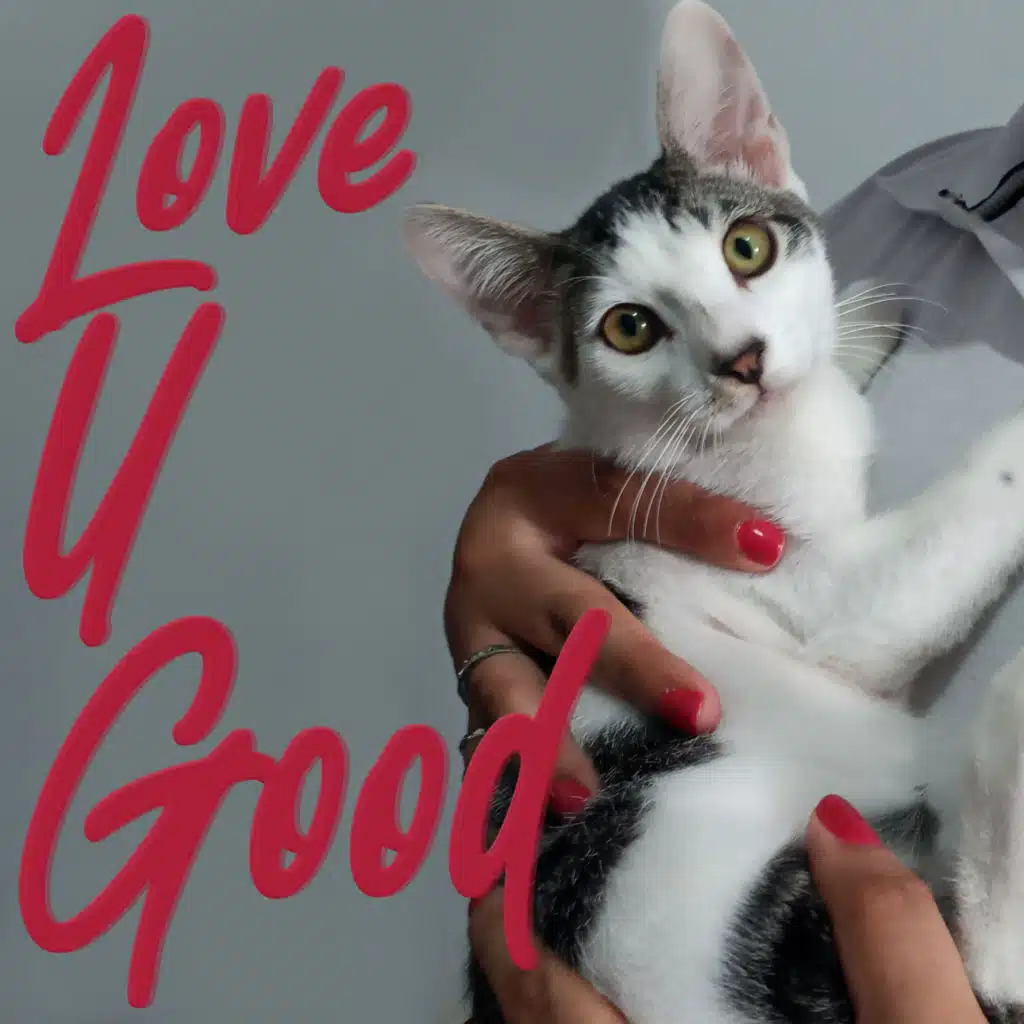 Love U Good