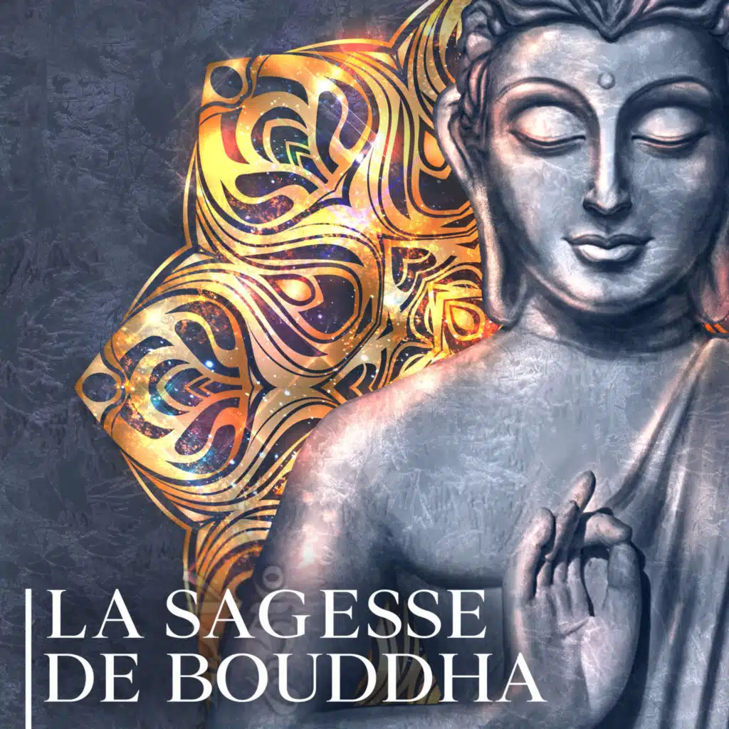 Buddhist Méditation Académie