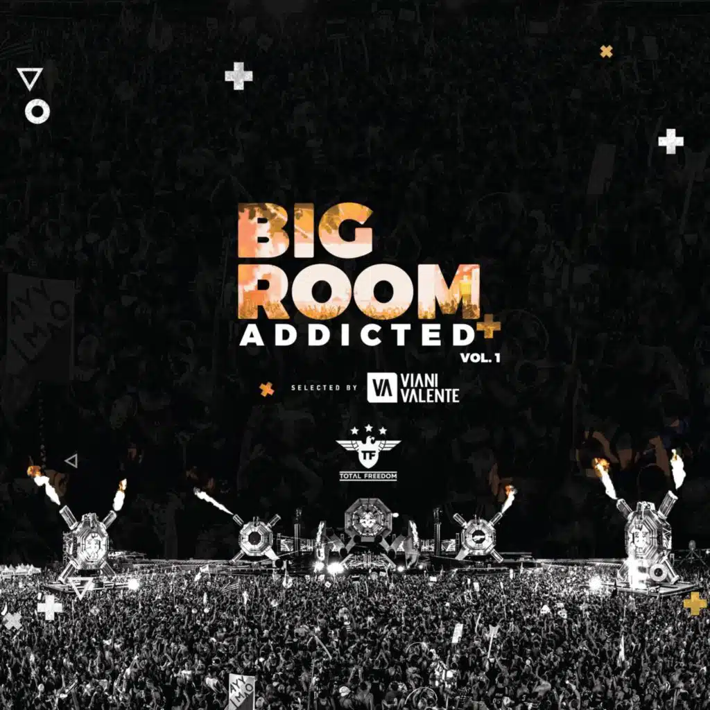 Bigroom Addicted vol.1