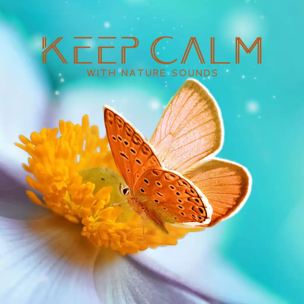 Keep Calm with Nature Sounds (Relaxation and Healing Zen Music for Mind Body Connection)