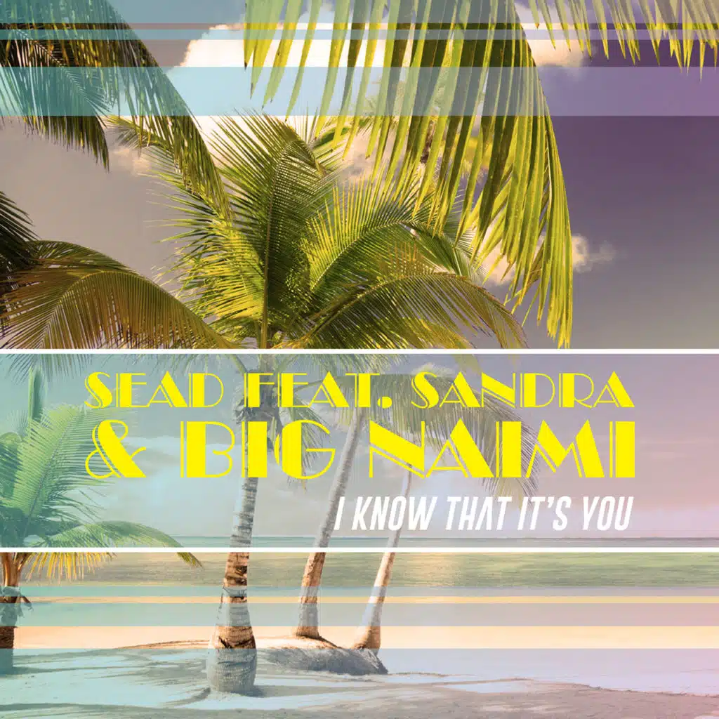 I Know That It's You (feat. Sandra & Big Naimi)
