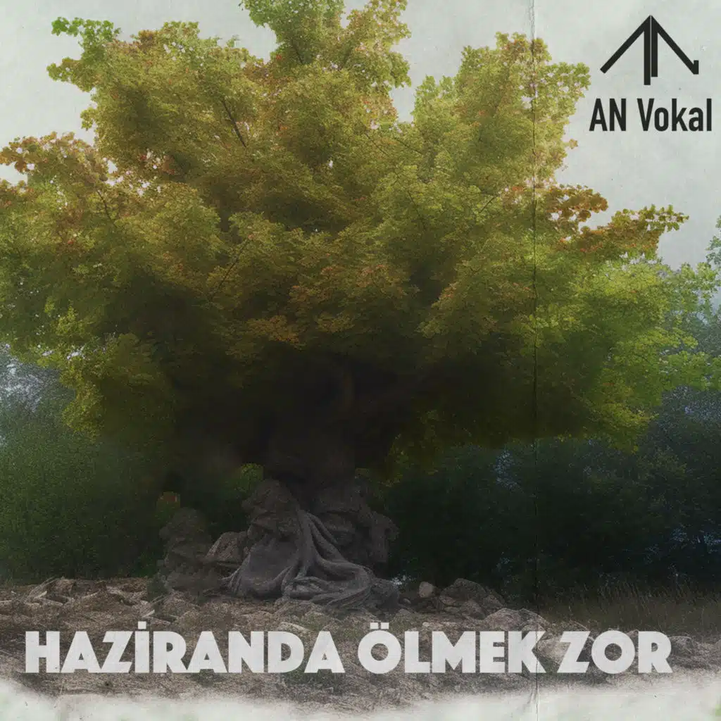 AN Vokal