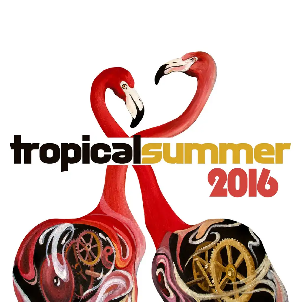 Tropical Summer 2016