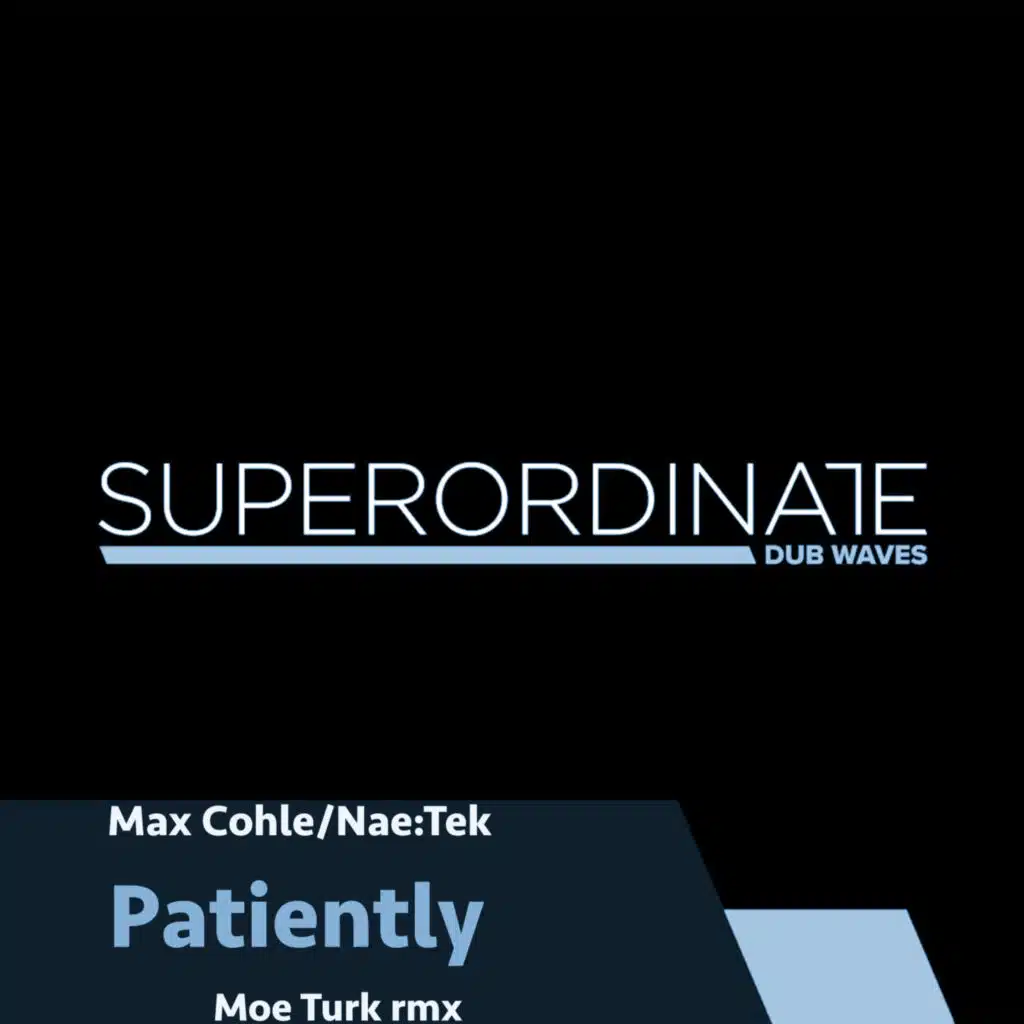 Patiently (Moe Turk Rmx)