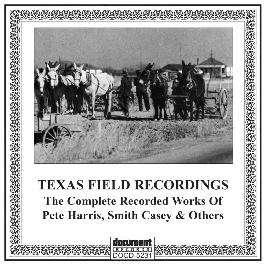 Texas Field Recordings