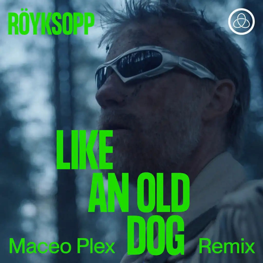 Like an Old Dog (Maceo Plex Remix)