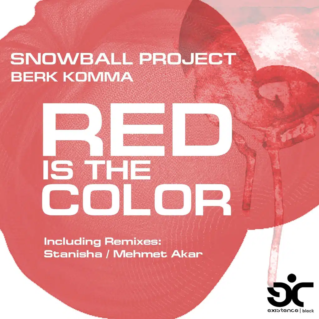 Snowball Project