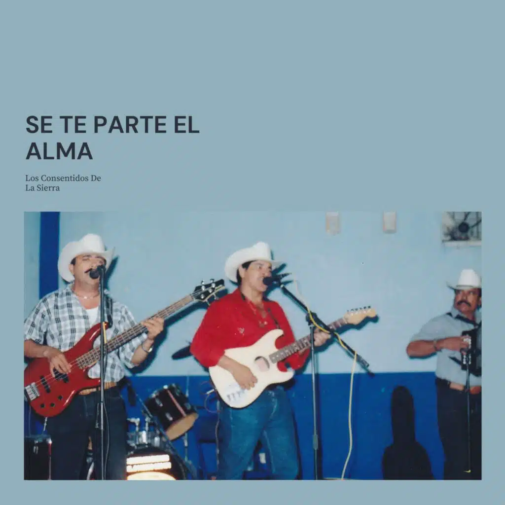 Los Consentidos De La Sierra