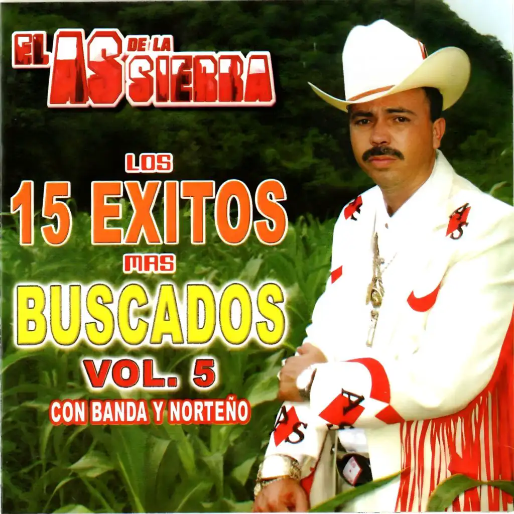 Los 15 Exitos Mas Buscados (Vol. 5)