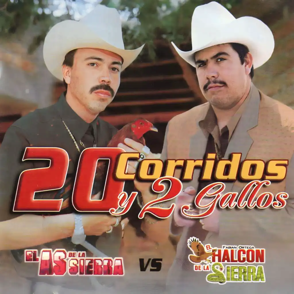 20 Corridos y 2 Gallos