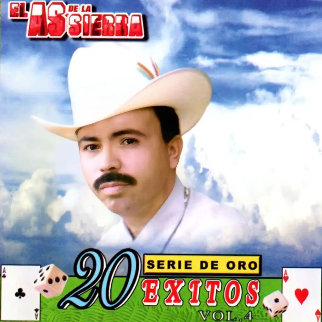 Serie de Oro 20 Exitos (Vol. 4)