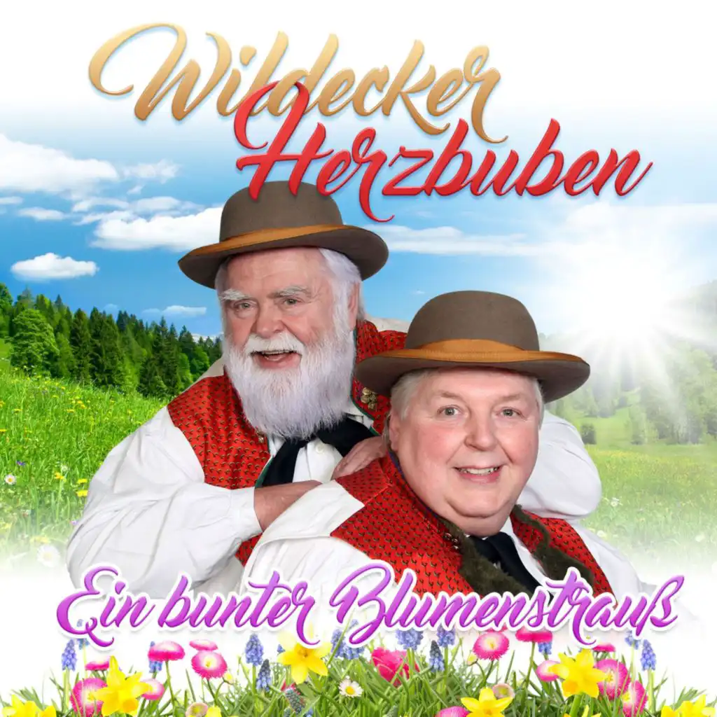 Die Wildecker Herzbuben