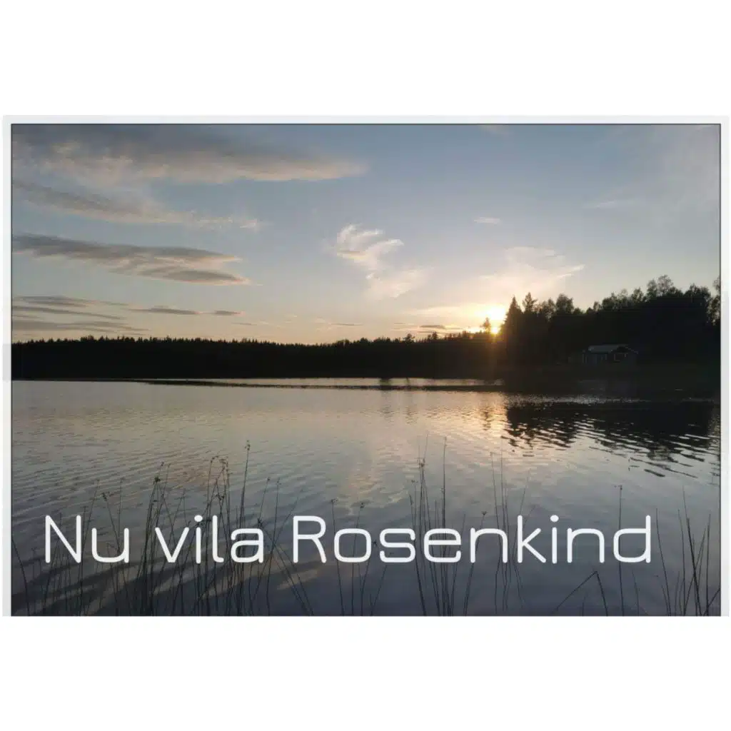 Nu vila Rosenkind (feat. Fredrik Bergfeldt)