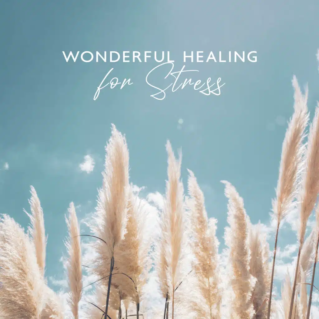 Wonderful Healing for Stress: Music to Calm the Mind and Alleviate Nervous Disorders
