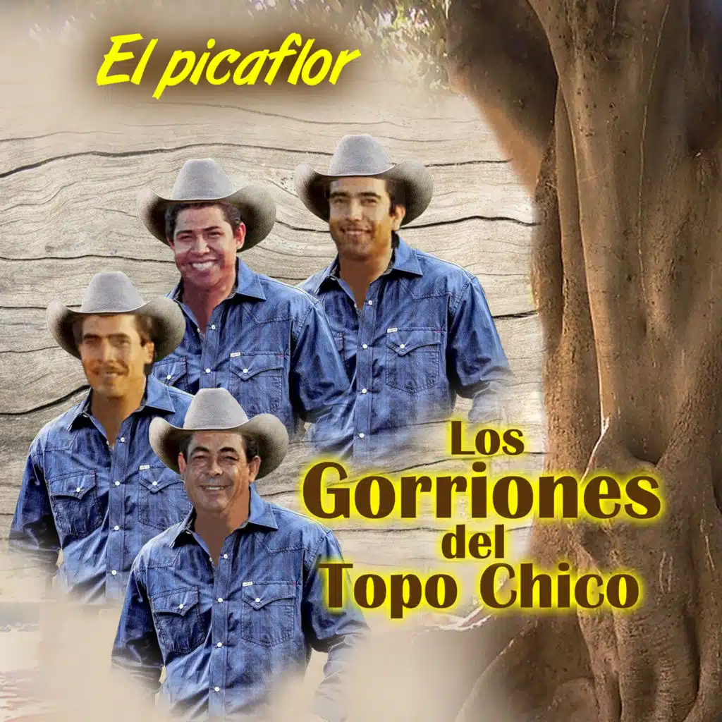 El Picaflor