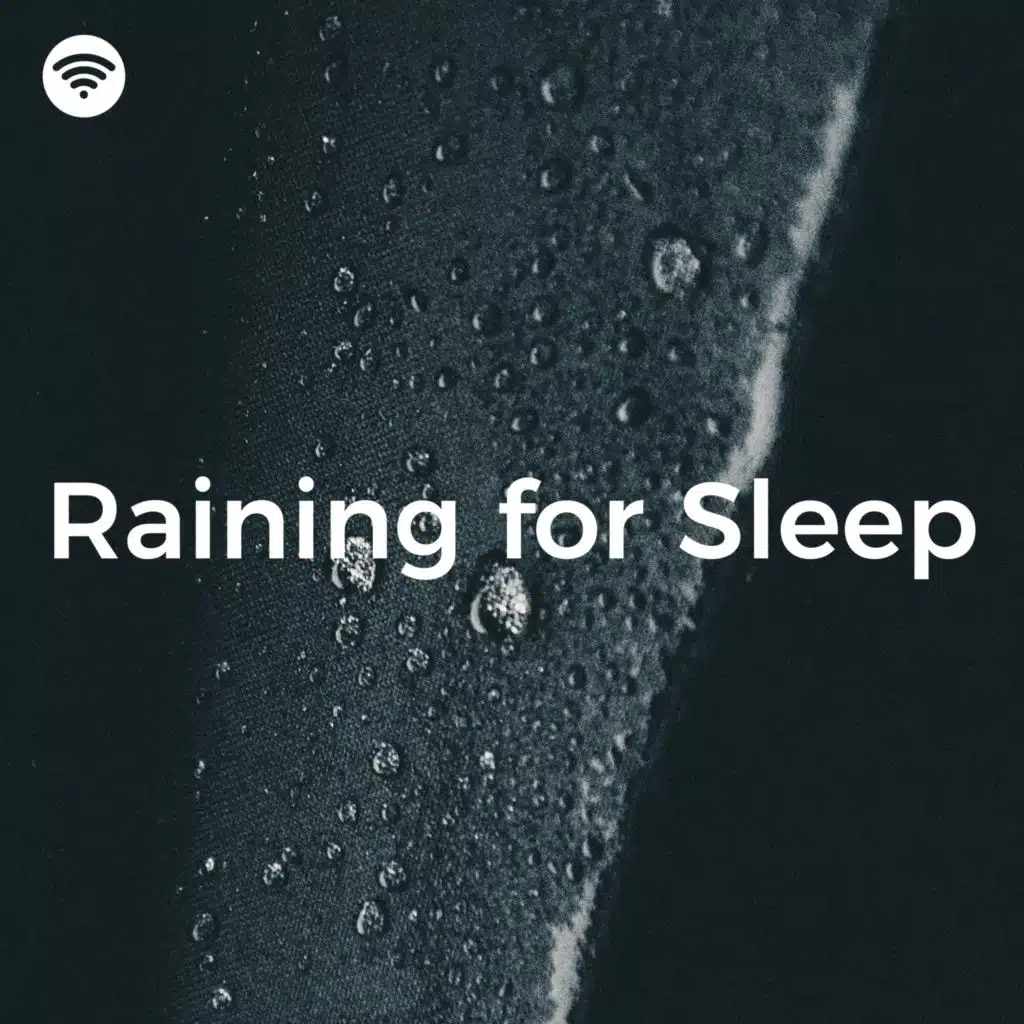 Raining for Sleep (Cozy Calming Nocturnal Rain)