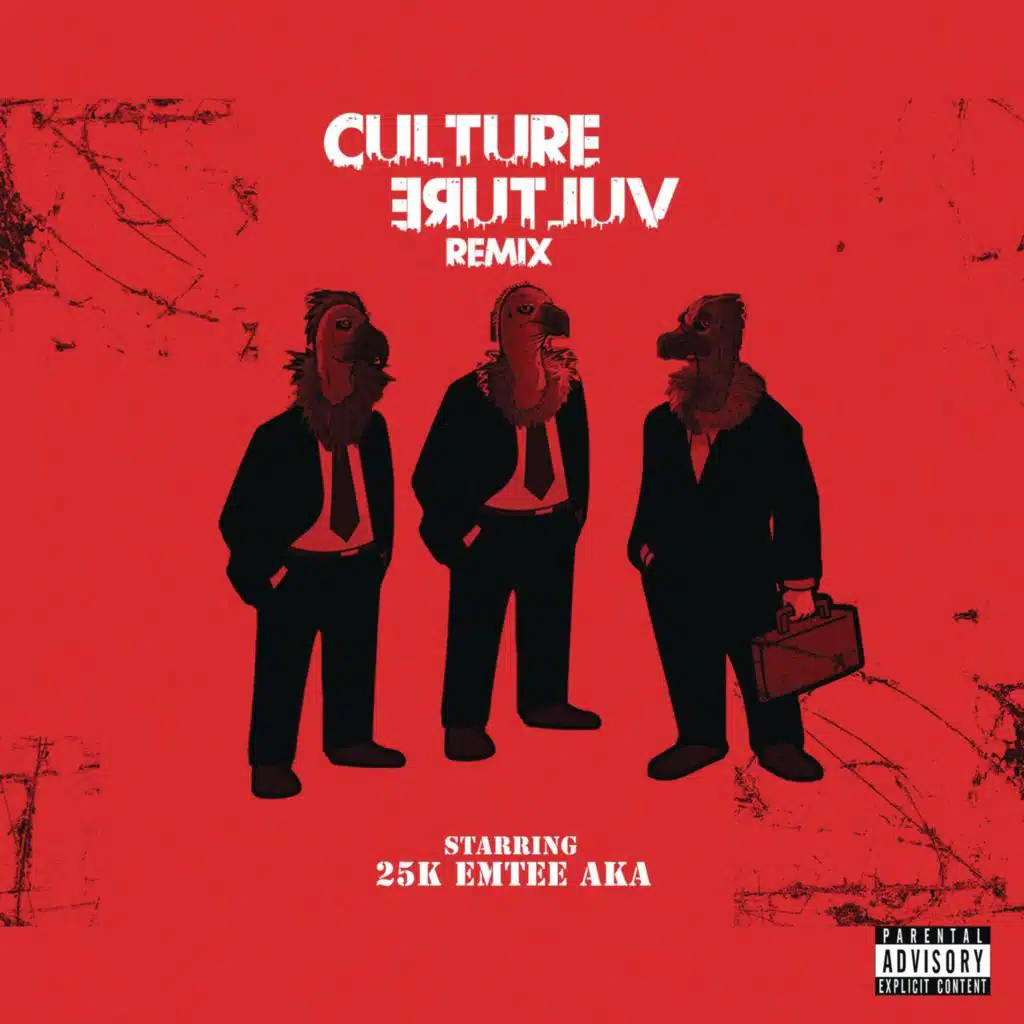 Culture Vulture (Remix) [feat. AKA & Emtee]