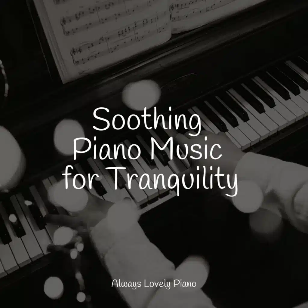 50 New Age Collection for Studying