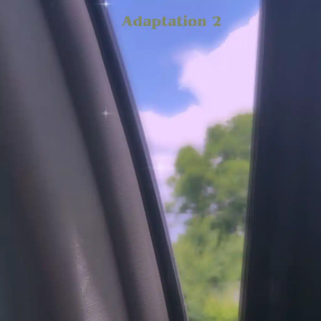 Adaptation 2