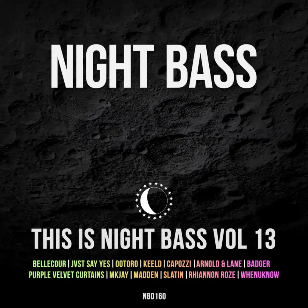 This is Night Bass Vol. 13