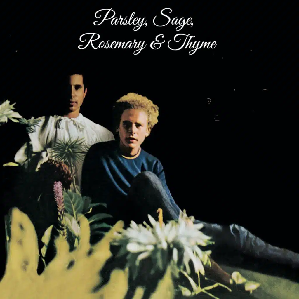 A Simple Desultory Philippic (Or How I Was Robert McNamara'd Into Submission)