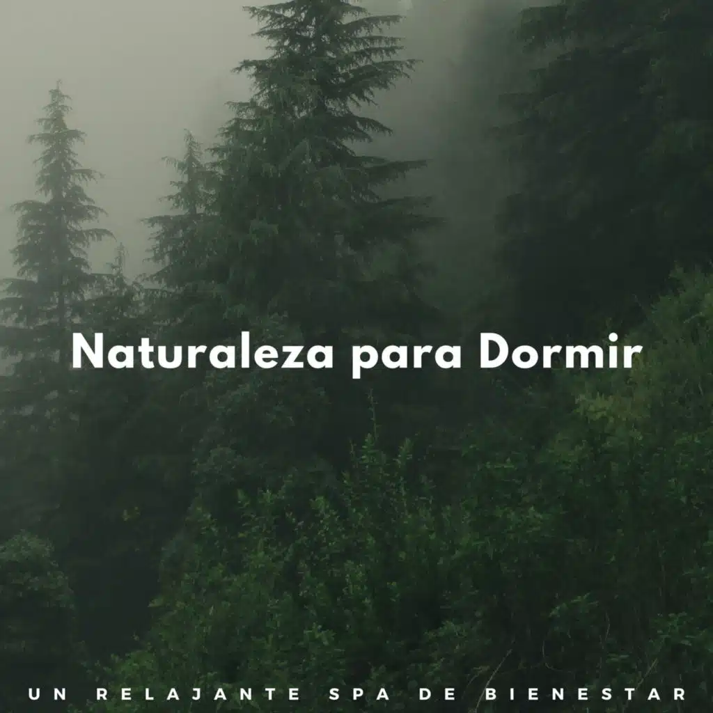 Naturaleza Para Dormir: Un Relajante Spa De Bienestar