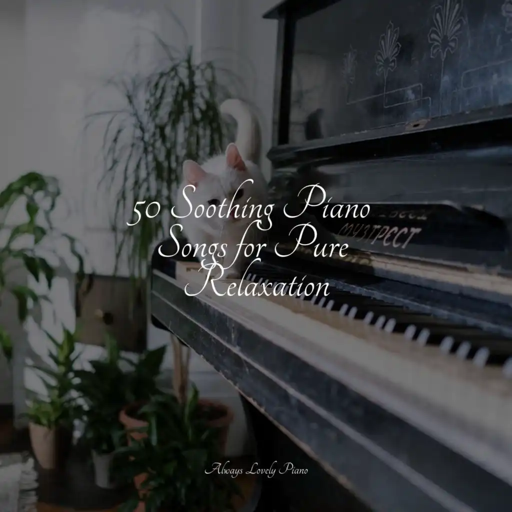 Soft Piano Songs for a Peaceful & Chill Ambience