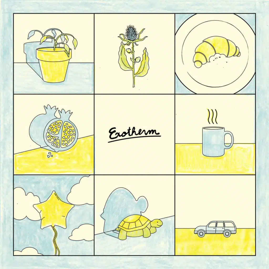 A Garden Bed of Thistle Weeds