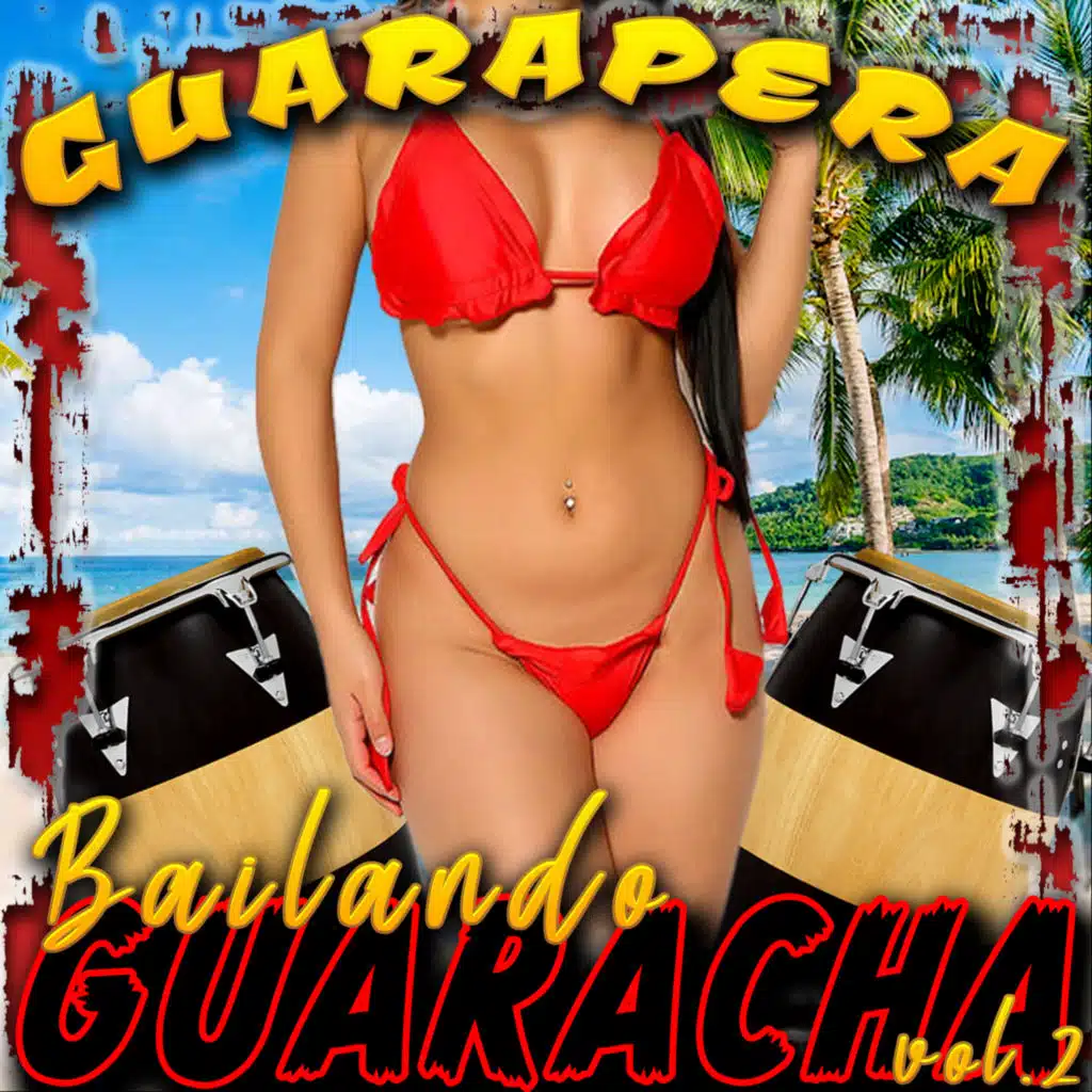 Bailando Guaracha Guarapera, Vol. 2