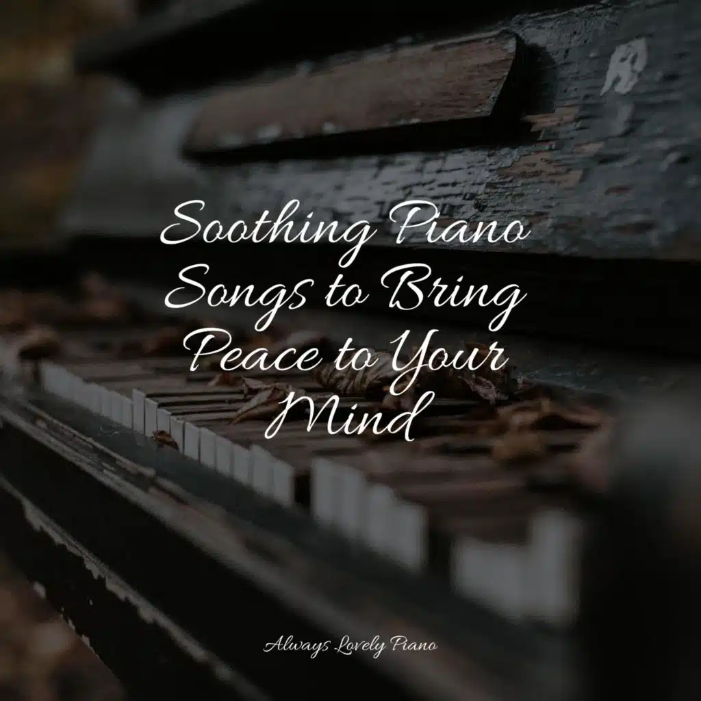 50 Soothing Piano Music Collection