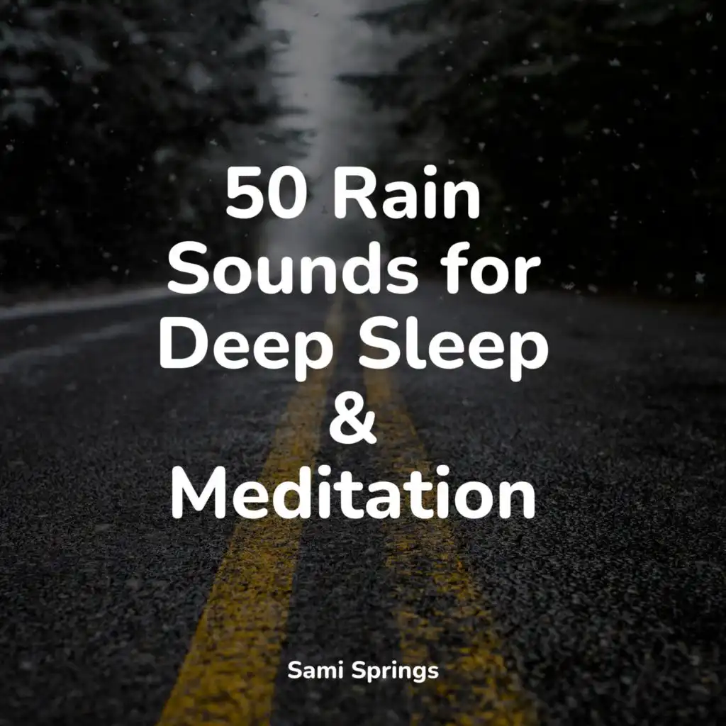 50 Rain Sounds for Deep Sleep & Meditation