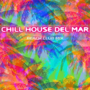 Free Soul (Ibiza House Edit)