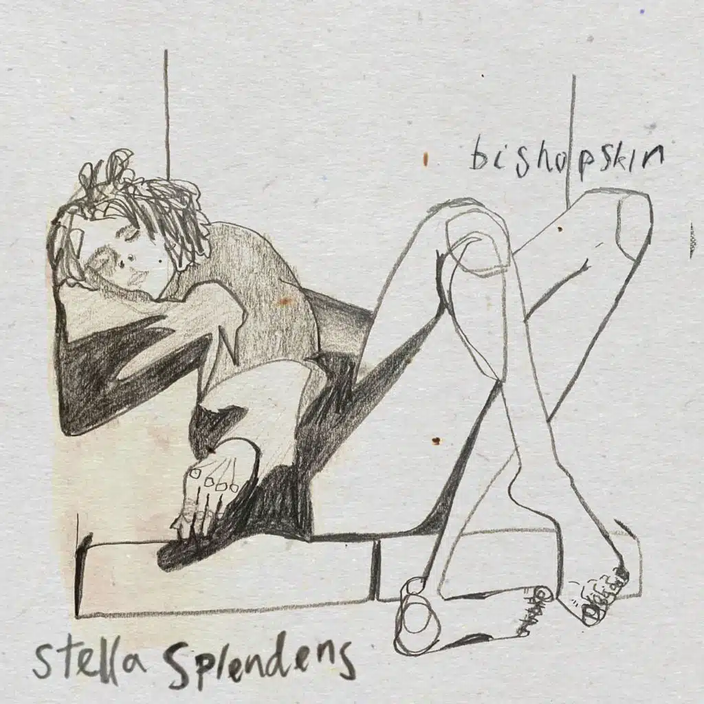Stella Splendens